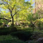 箱根、温泉、旅